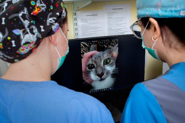 Scottish Vet Refferals 3