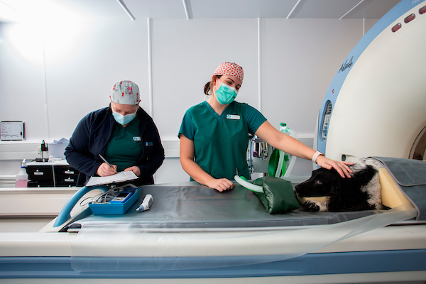 Scottish Vet Refferals 2